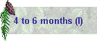 4 to 6 months (I)